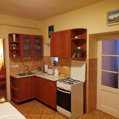 Viktor Vendeghaz Apartment