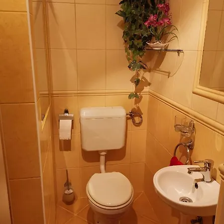 Viktor Vendeghaz Apartment Tokaj