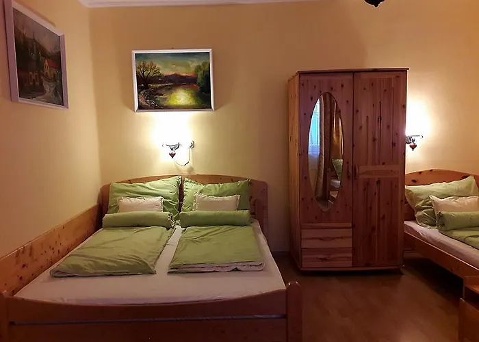 Viktor Vendeghaz Apartament *